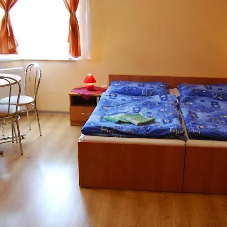 Penzion Central בית הארחה 3*