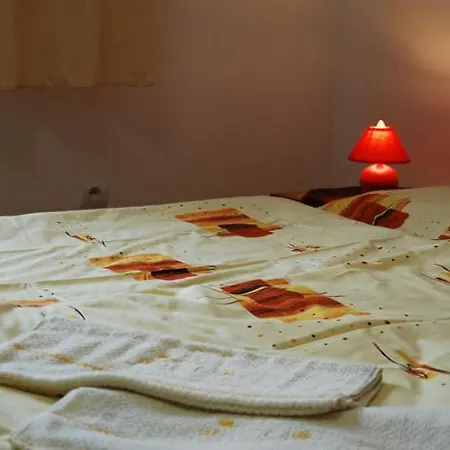 בית הארחה Penzion Central