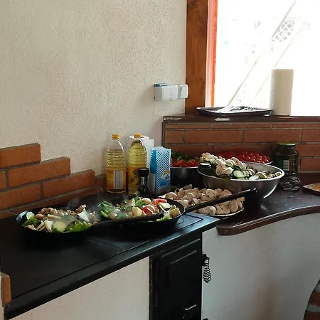 게스트하우스 Penzion Central